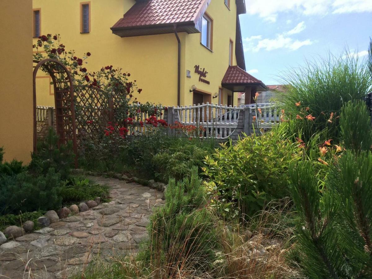 Red Rose Apartment วาดีสวาโวโว ภายนอก รูปภาพ