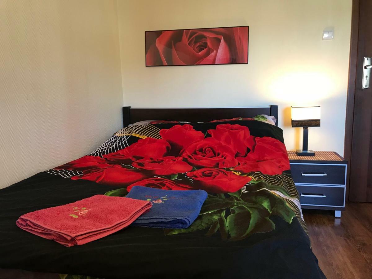 Red Rose Apartment วาดีสวาโวโว ภายนอก รูปภาพ